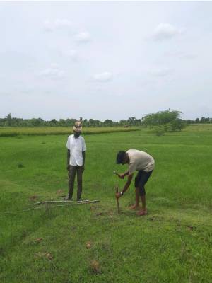 Agriculture Processing